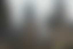 Фотография квеста Гарри и последний крестраж от компании Квестмагия (Фото 1)