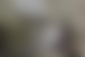 Фотография квеста Побег от компании Квеструм (Фото 1)