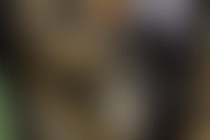 Фотография квеста Побег от компании Квеструм (Фото 2)