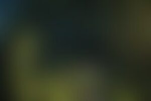Фотография квеста-анимации Бегущий в лабиринте от компании Лаборатория квестов (Фото 1)