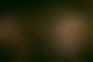 Фотография квеста Ограбление на Диком Западе от компании Интуиция (Фото 3)